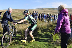 2013_green