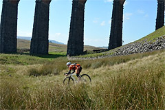 2013_hutton